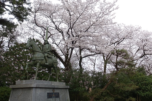 高岡城前田象と桜