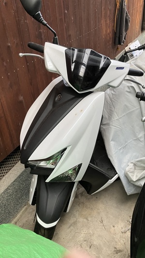 シグナス グリファス